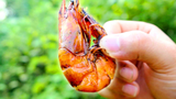 金黄色的茶香大虾，好吃又不腻的海鲜，你值得尝试
