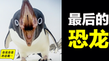 企鹅:最后的恐龙,飞翔、直立之谜,神奇大鸟击碎三观、征服南极