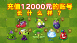 PVZ2:怒充1.2万RMB,把正版活生生玩成破解版?