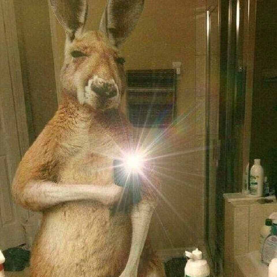 小虎这把很不错了,4w的伤害疯狂竖中指,jdg的牙膏?