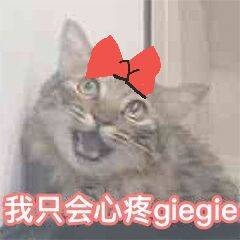 ChYwODg2ZDFiYzM4MTBjNmFkYTVkNTAyEJjM1y8.png