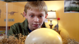 科幻片：小男孩利用基因回溯技术，拿着鸵鸟蛋，孵出一只小恐龙！