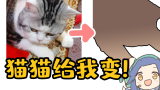 【千岛】“猫猫给我变！”挑战Day2【画师修炼】