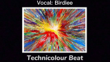 【Birdiee】Technicolour Beat