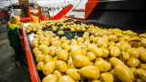 疯狂食品加工机2019 |土豆