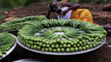 印度六指神厨做秋葵给流浪的人吃