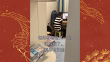 来自疯狂小杨哥忠诚粉丝的剪辑裁剪第37期(视频来自疯狂小杨哥的日常搞笑视频)