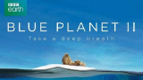 【纪录片 1080P】蓝色星球2 Blue Planet II （中文字幕）