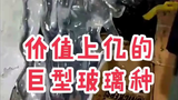惊了!巨型冰种???
