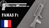 【被遗忘的武器/双语】MAS .223--半自动民用型FAMAS F1