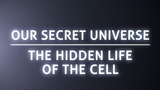 BBC.细胞内部之旅.Secret.Universe.Journey.Inside.The.Cell