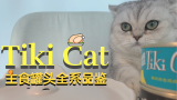 【猫咪罐头】妈妈味的浓鸡汤！Tiki Cat全系罐头品鉴 · 选购建议 猫咪主食罐试吃大连载第9期