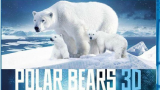 【纪录片】北极熊：一个夏天的奥德赛  【2012】【加拿大】720P中字