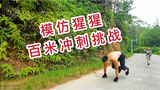模仿猩猩四肢奔跑,挑战百米冲刺,还是农村人会玩