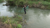 水流湍急的河道口，小明布置大型虎口网，半小时收获几斤河鱼