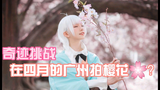 【绮太郎】樱花奇迹~在四月的广州拍樱花？