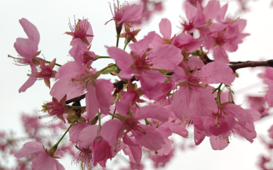 punchline-的个人空间 -acfun弹幕视频网 - 认真你就输啦 (?ω?