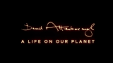 【纪录片】大卫·爱登堡：地球上的一段生命旅程 (2020)
