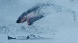 冒险怪兽电影：科学家雪域探险遇上巨型鲨鱼，在雪地穿行犹如海洋