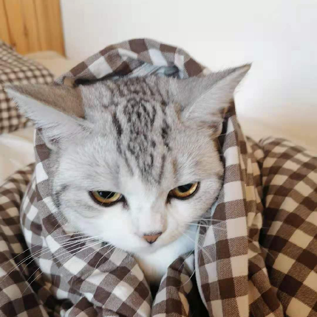 童年回忆乌龙院漫画171章43卷!爆肝3个月全网首发!