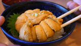 日本街头美食-舞鱿鱼生鱼片+日本北海道最佳海鲜和面条之旅！