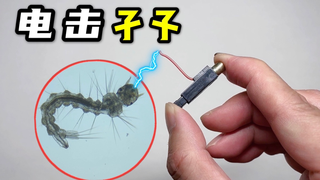 孑孓怕触电吗?小伙抓了一只蚊子幼虫来实验!