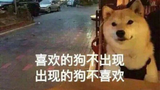 毒奶粉 裂缝三连
