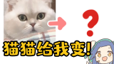 【千岛】“猫猫给我变！”挑战Day4【画师修炼】