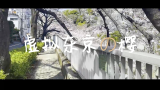 【霏欧娜】虚拟日本vlog#01 赏樱